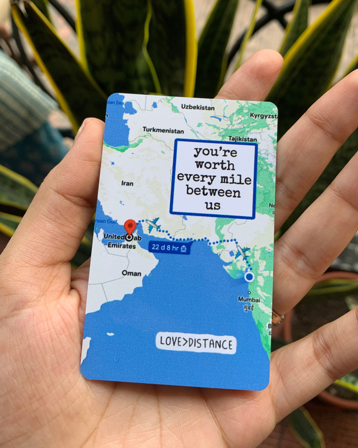 Wallet Card